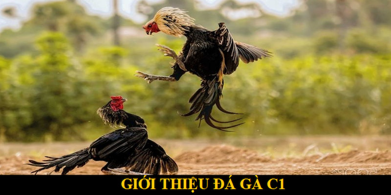 da-ga-c1-2