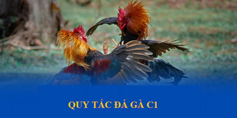 da-ga-c1-3