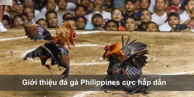 da-ga-philippines-2